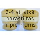 Elastīgais atbalstelements, Atsperojums SACHS 900 116