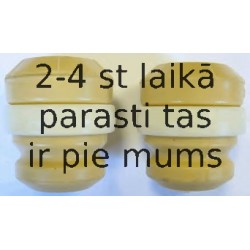 Elastīgais atbalstelements, Atsperojums SACHS 900 116