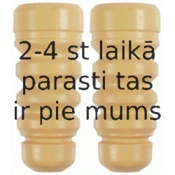 Elastīgais atbalstelements, Atsperojums SACHS 900 168