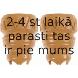 Elastīgais atbalstelements, Atsperojums SACHS 900 230