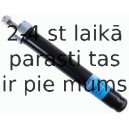 Amortizators SACHS 100 474