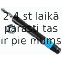 Amortizators SACHS 100 517