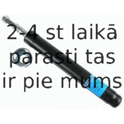 Amortizators SACHS 100 517