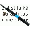 Amortizators SACHS 100 662