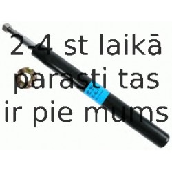 Amortizators SACHS 100 662