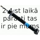 Amortizators SACHS 105 781