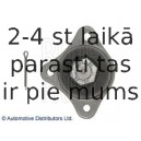 BLUE PRINT ADC48667