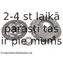 BLUE PRINT ADN130205