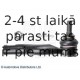 BLUE PRINT ADM58759