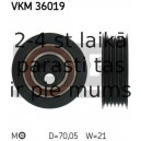 VKM36019