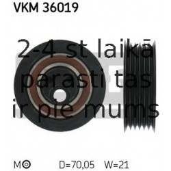 VKM36019
