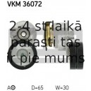 VKM36072