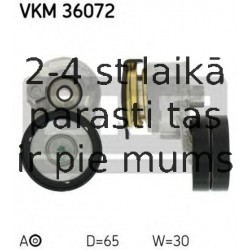 VKM36072