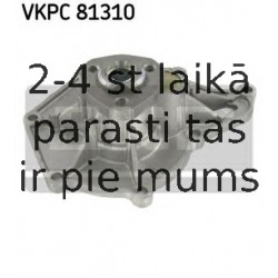 VKPC81310