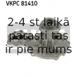VKPC81410