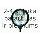 Miglas lukturis BOSCH 0 305 055 001