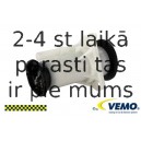 Degvielas sūknis VEMO V10-09-0838