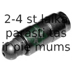 INA 420 0168 10 (5)