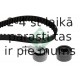 INA 530 0421 10 (5)