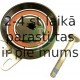 INA 531 0342 30 (5), Натяжной ролик, ремень ГРМ