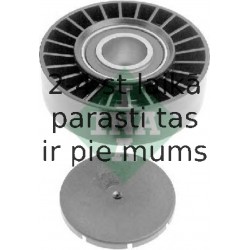INA 532 0169 10 (5)