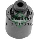 INA 532 0349 10 (5), Паразитный / Ведущий ролик, зубчатый ремень