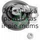 INA 531 0436 20 (5), Натяжной ролик, ремень ГРМ