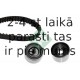 INA 530 0502 10 (5)