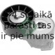 INA 533 0061 20