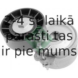 INA 534 0110 20