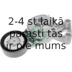 INA 534 0132 30 (5)