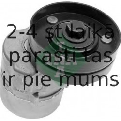 INA 534 0135 30