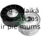 INA 534 0334 10 (5)
