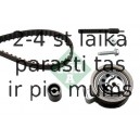 INA 530 0176 10 (5), Комплект ремня ГРМ