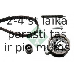 INA 530 0176 10 (5), Комплект ремня ГРМ