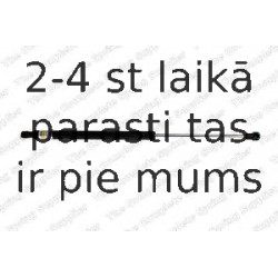 Газовая пружина, заднее стекло KILEN 450048
