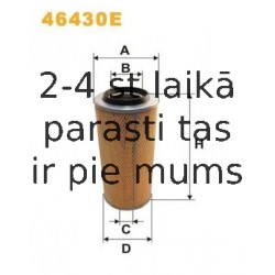 AM406/1