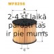 Degvielas filtrs FILTRON PE816/4