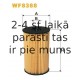 Топливный фильтр FILTRON PE973/3