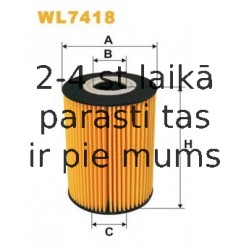 Масляный фильтр FILTRON OE669/1