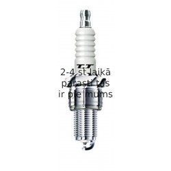 DENSO W20TT (5), Свеча зажигания