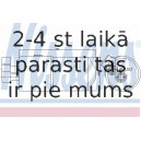 Kondicioniera sausintjs