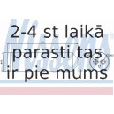 Kondicioniera sausintjs