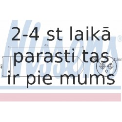 Kondicioniera sausintjs