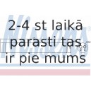 Kondicioniera sausintjs