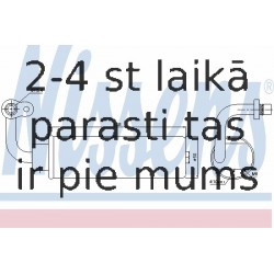 Kondicioniera sausintjs