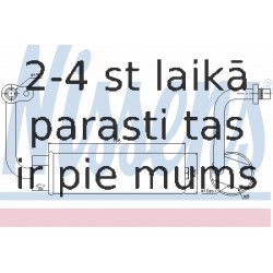 Kondicioniera sausintjs
