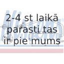 Kondicioniera sausintjs