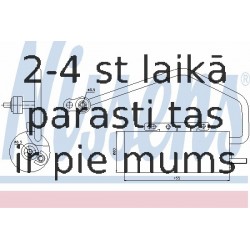 Kondicioniera sausintjs