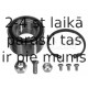 Комплект подшипника ступицы колеса MEYLE 100 498 0019
